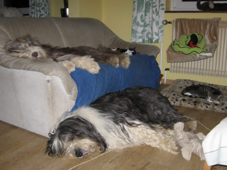Nov%2005.jpg
