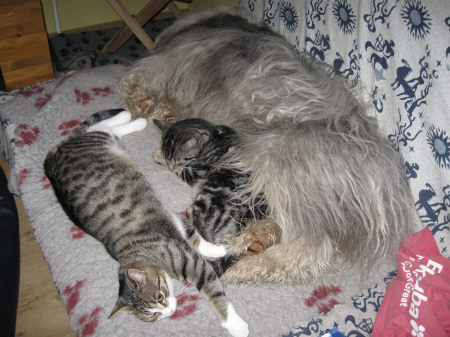 Nov%2006.jpg