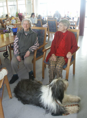 Therapiehunde%202.jpg